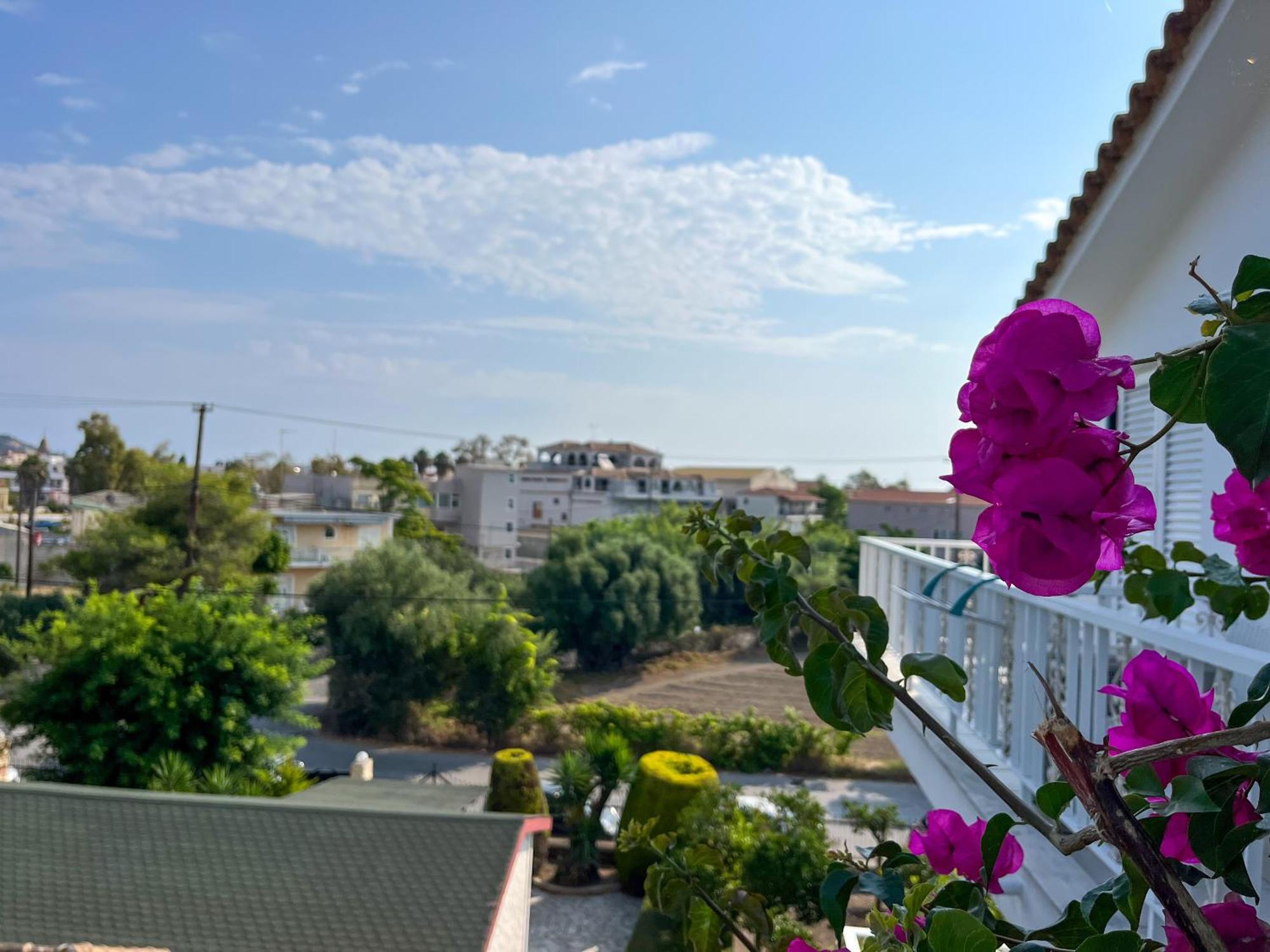 Pettas Apartments Zakynthos Town Luaran gambar